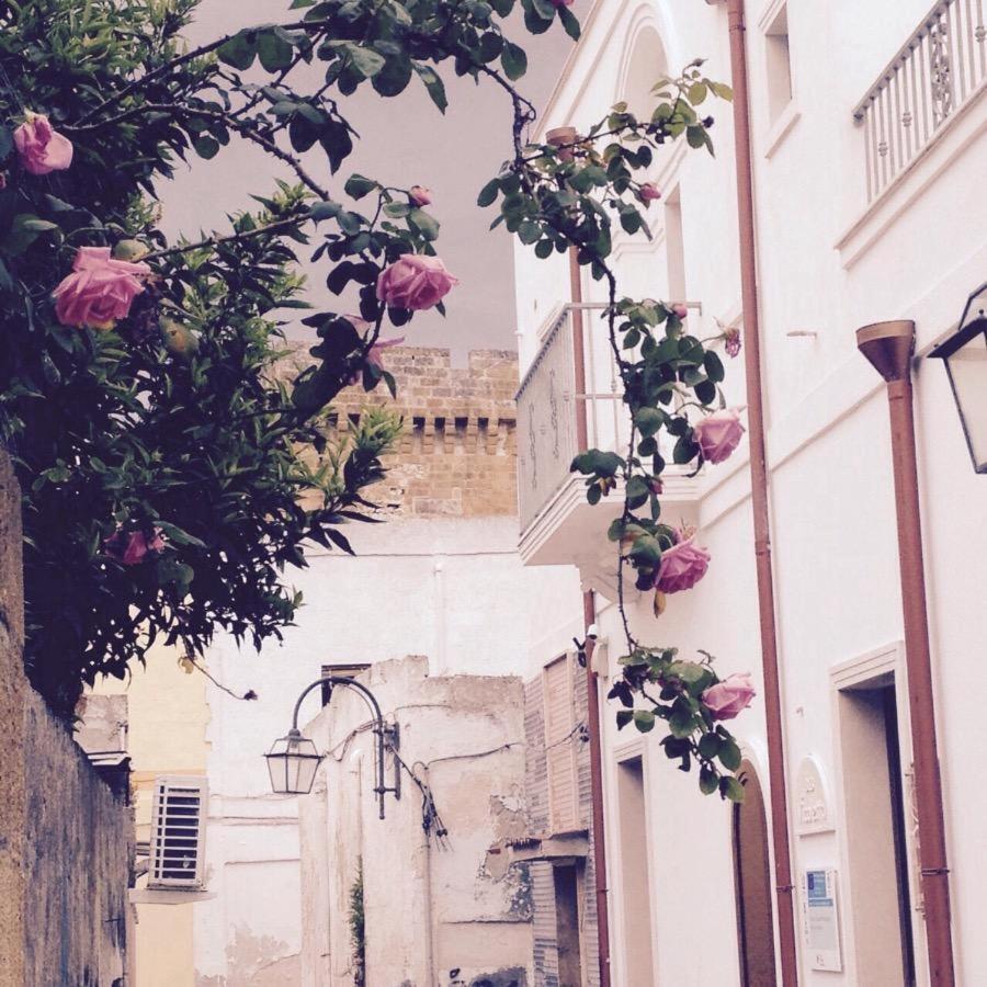 Il Vicoletto Pulsano Exterior foto